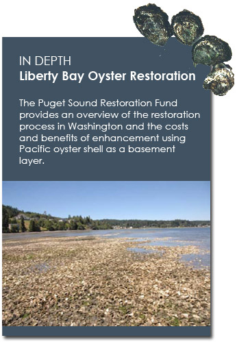 Liberty Bay Oyster Restoration