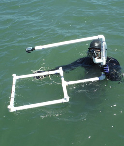 GoPro Camera Rig
