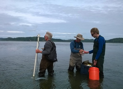 Epibenthic Pump
